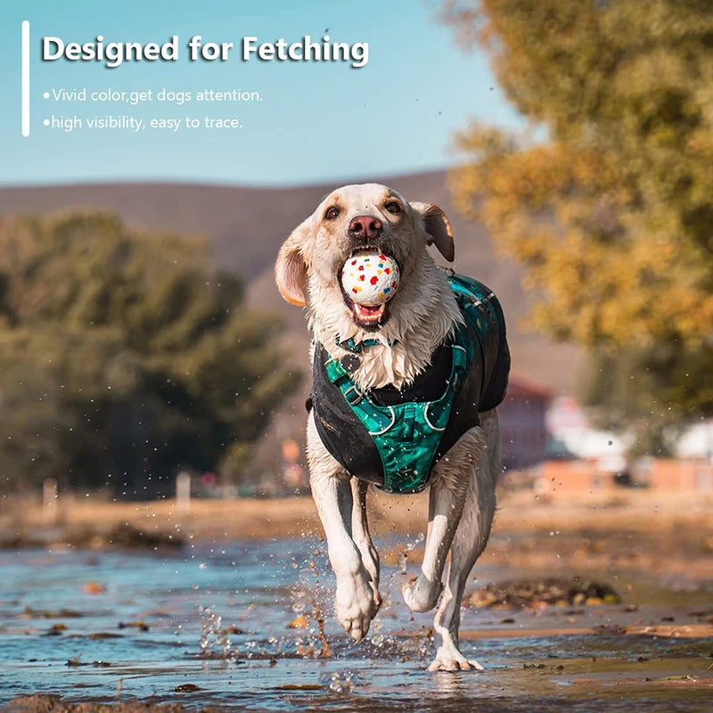 Durable Non-Squeak Dog Ball for Chewing & Training Fun - PawPawBuy