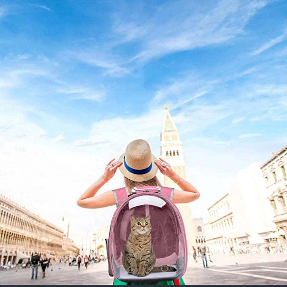 Transparent Capsule Pet Carrier Backpack for Cats and Small Animals - PawPawBuy