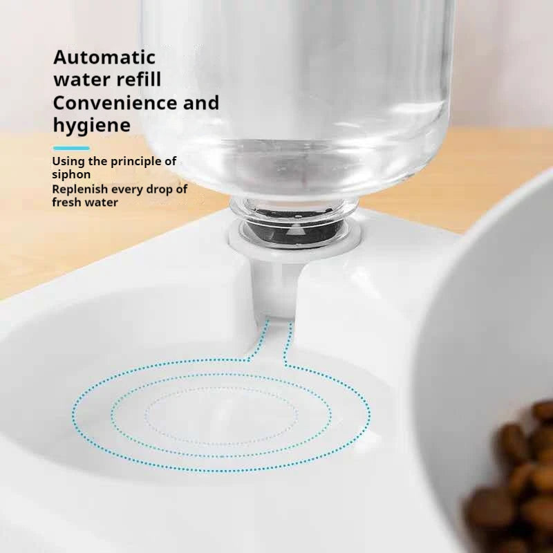 Tilted Double Bowls with Automatic Water Bottle for Pets - PawPawBuy