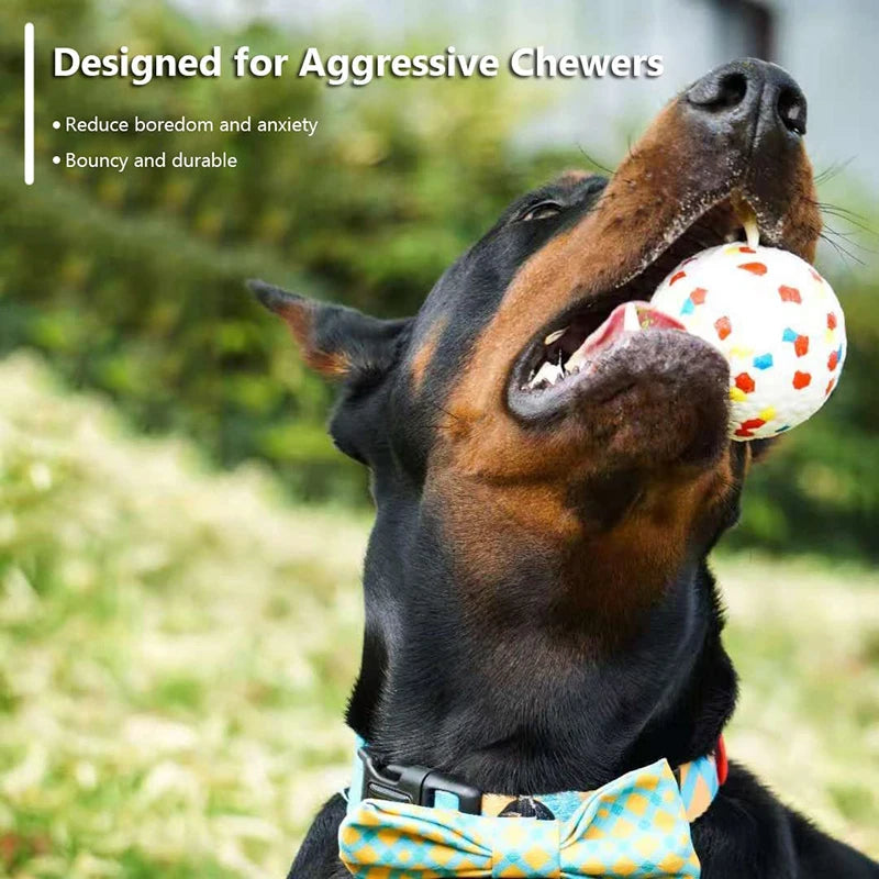 Durable Non-Squeak Dog Ball for Chewing & Training Fun - PawPawBuy