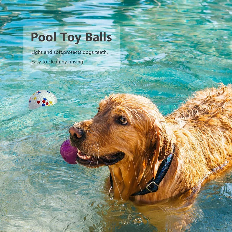 Durable Non-Squeak Dog Ball for Chewing & Training Fun - PawPawBuy