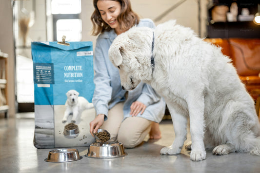 Basic Nutrition Guidelines: What to Feed Your Pet