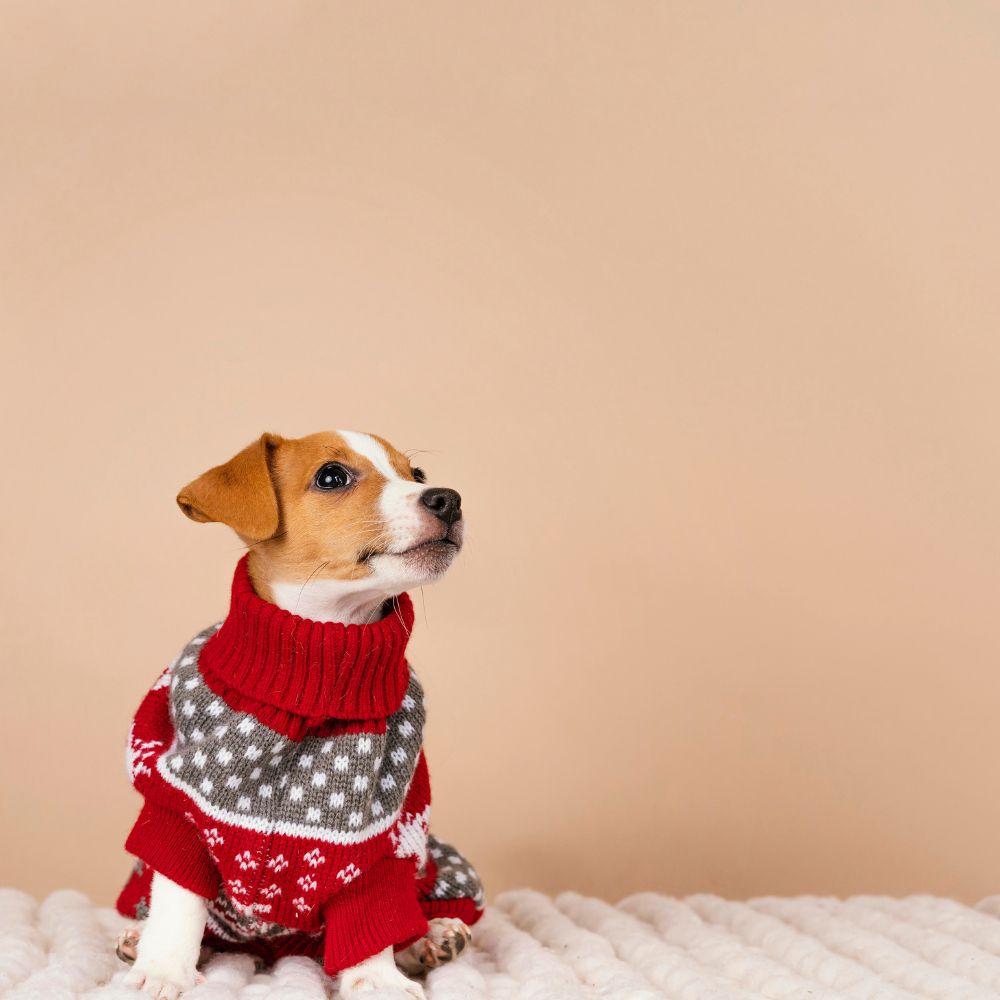 Pet Clothing