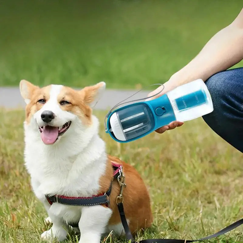 Convenient 3-in-1 Portable Water Bottle & Feeder for Pets - PawPawBuy