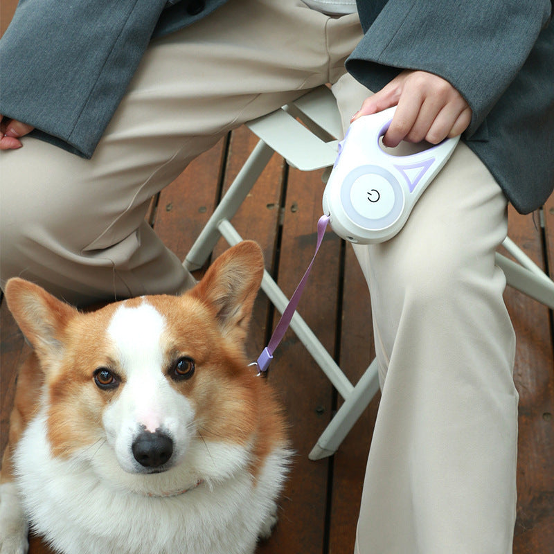 Ultimate Retractable Dog Leash with built-in spotlight - PawPawBuy