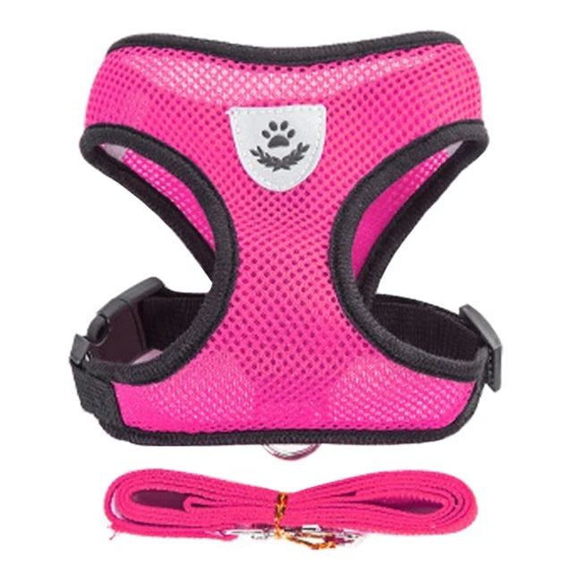 Adjustable Cat Harness with Leash for Small & Medium Pets