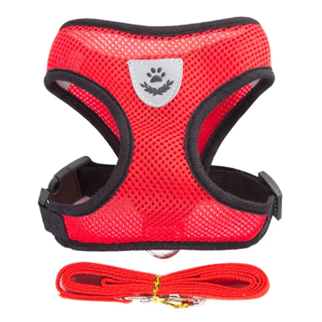 Adjustable Cat Harness with Leash for Small & Medium Pets