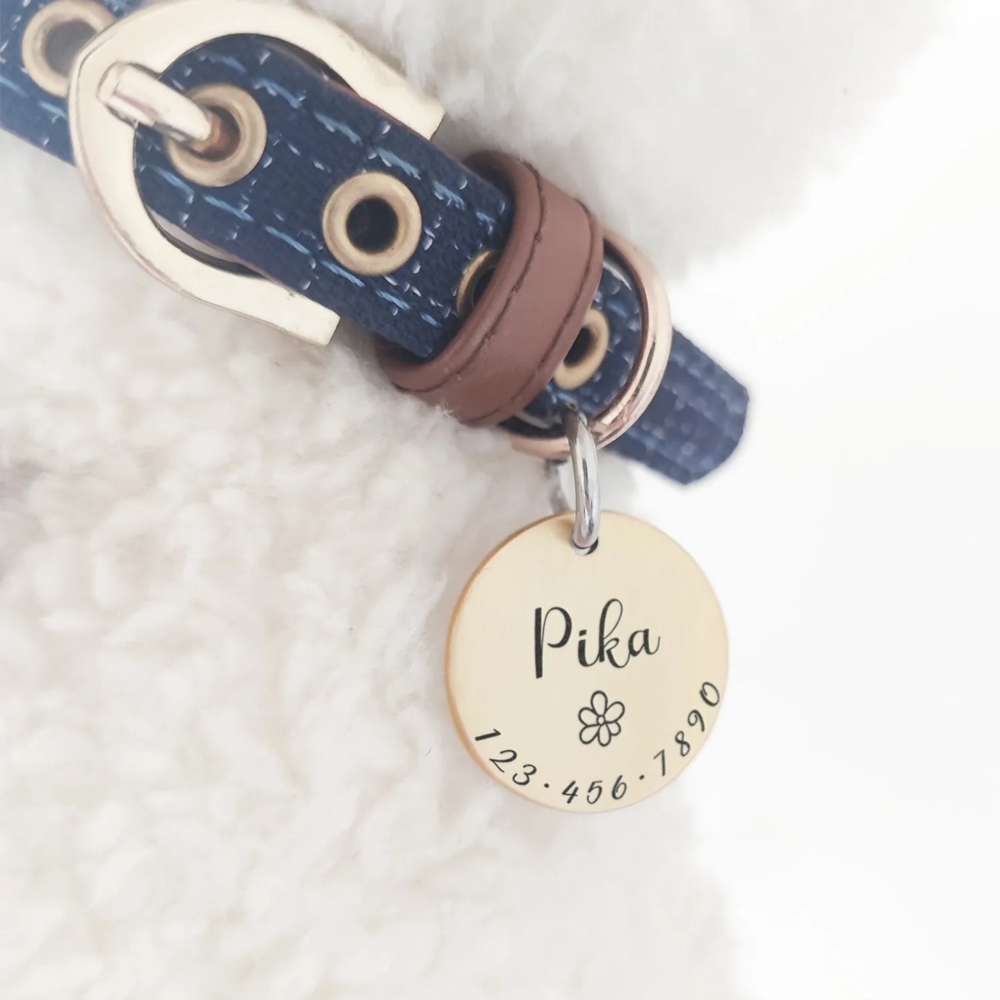 Personalized Engraved Pet ID Tag for Dogs & Cats - PawPawBuy