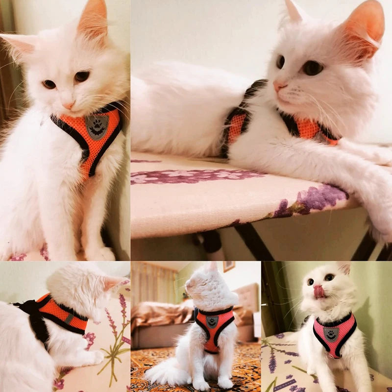 Adjustable Cat Harness with Leash for Small & Medium Pets