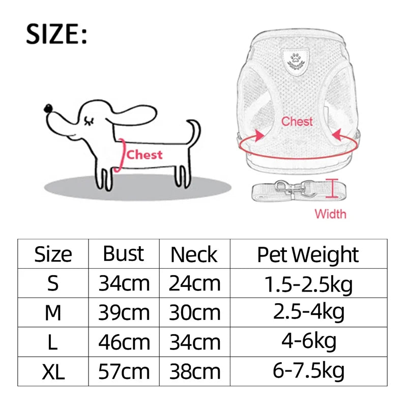 Adjustable Cat Harness with Leash for Small & Medium Pets