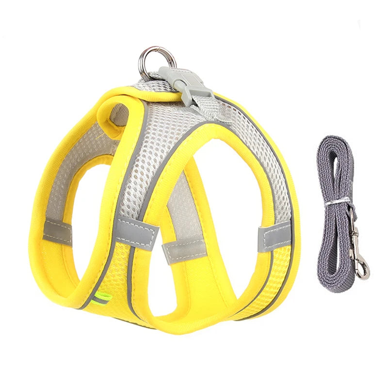 Adjustable Dog Harness & Leash Set for Small Dogs - PawPawBuy