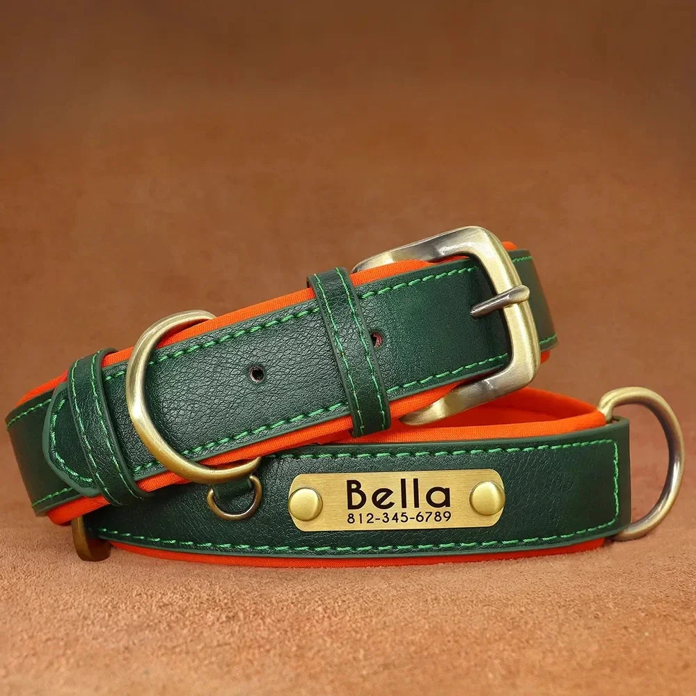 Customized Leather Dog Collar & Leash with Free Engraved Nameplate