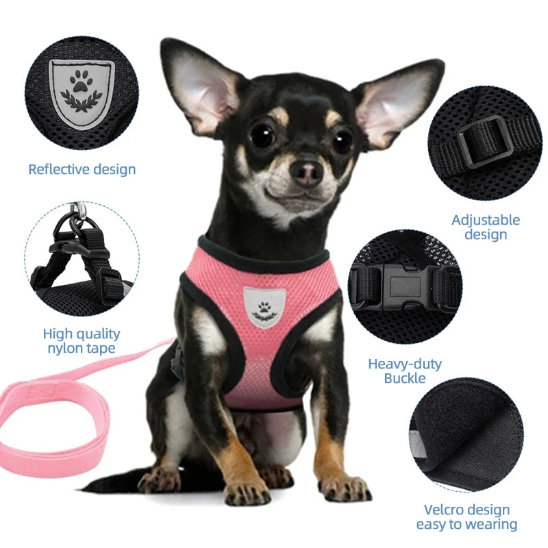 Adjustable Cat Harness with Leash for Small & Medium Pets