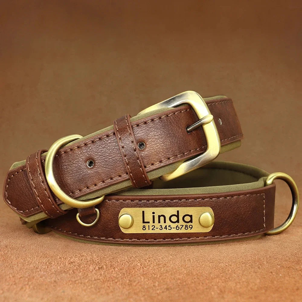 Customized Leather Dog Collar & Leash with Free Engraved Nameplate