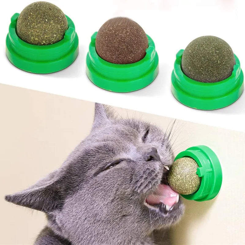 Natural Catnip Wall Stick-On Ball Toy for Cats - PawPawBuy