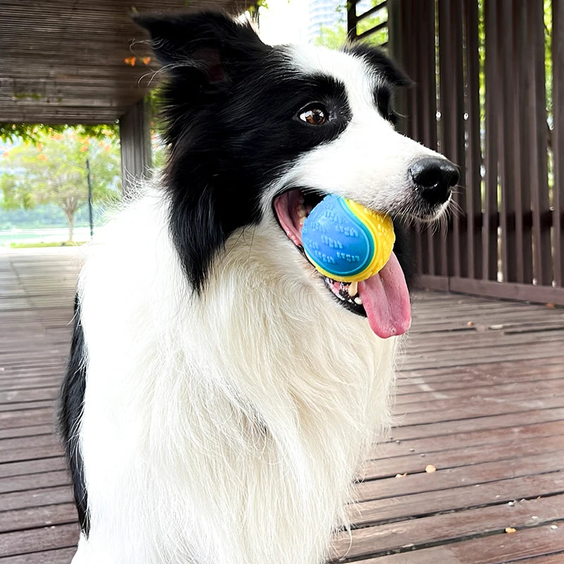 Interactive Squeaky Dog Ball Toy for Teeth Cleaning - PawPawBuy