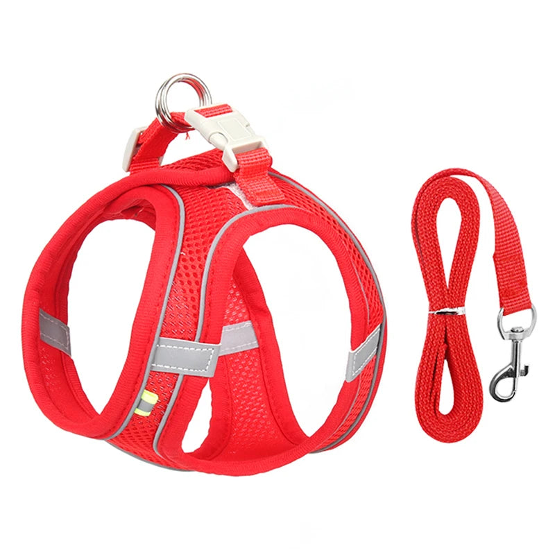 Adjustable Dog Harness & Leash Set for Small Dogs - PawPawBuy