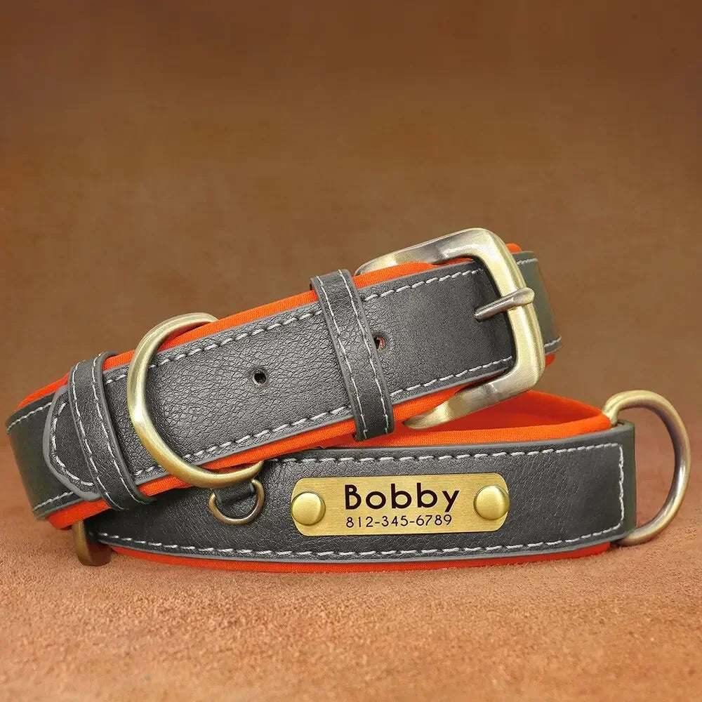 Customized Leather Dog Collar & Leash with Free Engraved Nameplate