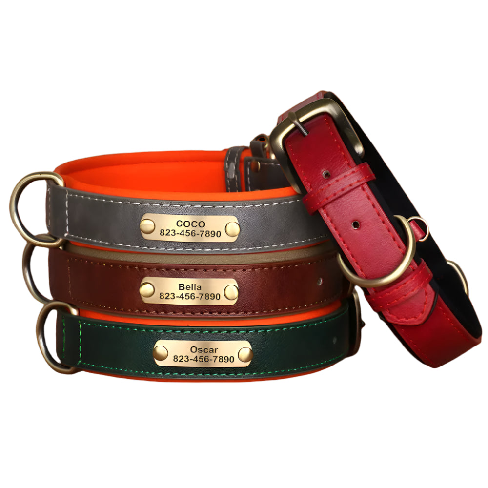 Customized Leather Dog Collar & Leash with Free Engraved Nameplate