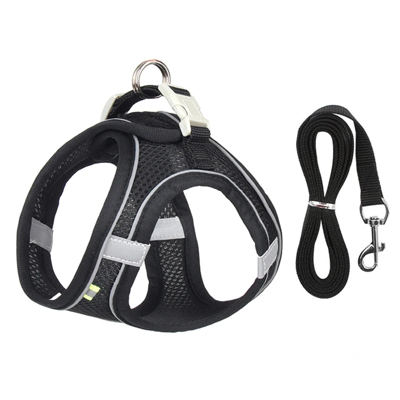 Adjustable Dog Harness & Leash Set for Small Dogs - PawPawBuy