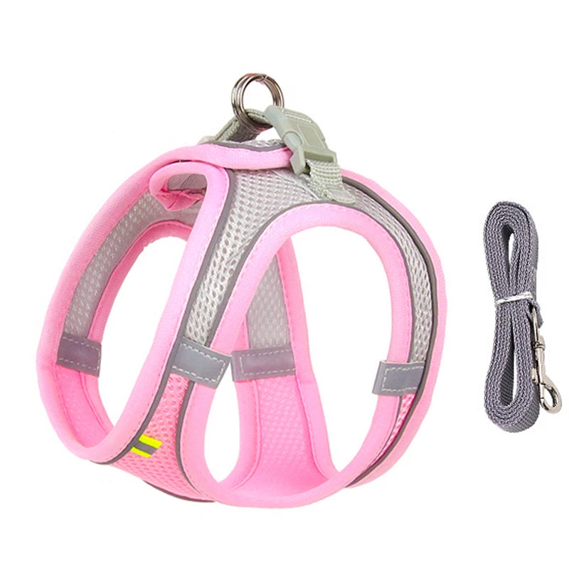 Adjustable Dog Harness & Leash Set for Small Dogs - PawPawBuy