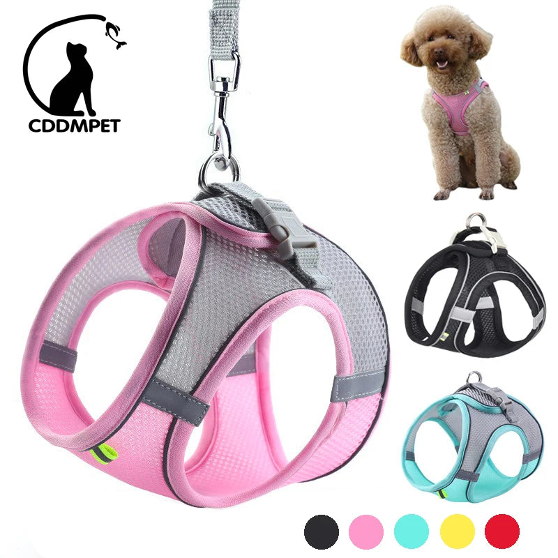 Adjustable Dog Harness & Leash Set for Small Dogs - PawPawBuy