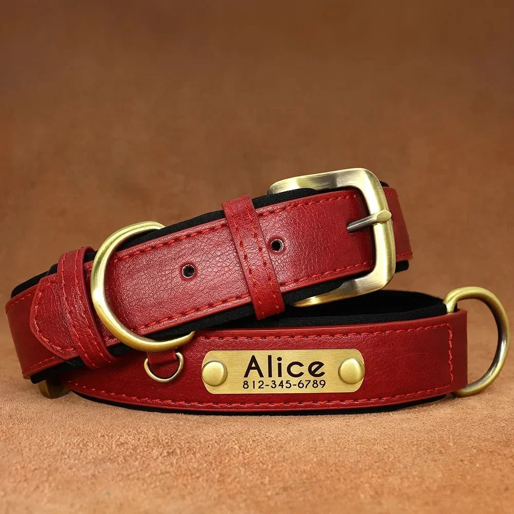 Customized Leather Dog Collar & Leash with Free Engraved Nameplate