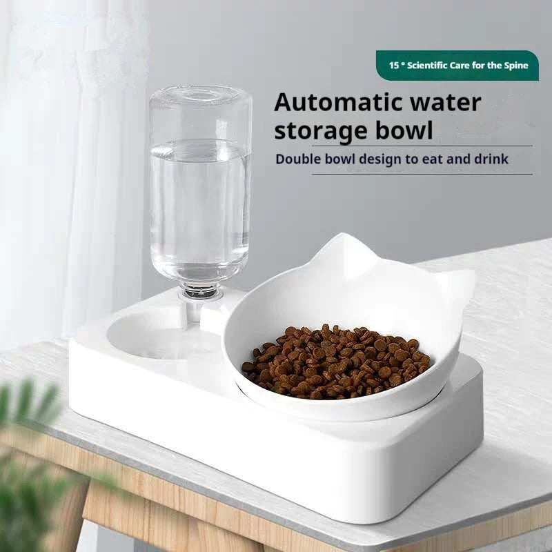 Tilted Double Bowls with Automatic Water Bottle for Pets