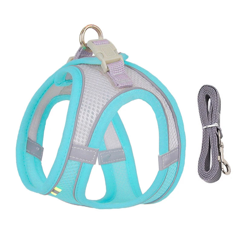 Adjustable Dog Harness & Leash Set for Small Dogs - PawPawBuy